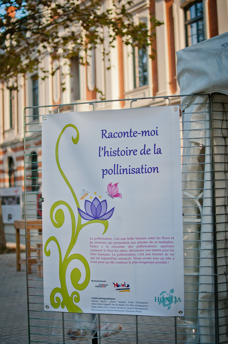 Exposition "Raconte-moi l'histoire de la pollinisation"