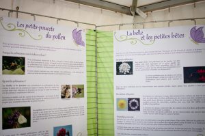 Les deux panneaux expliquant les différents types de pollinisateurs et la manière dont les fleurs les attirent